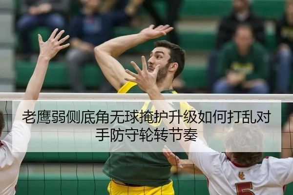 老鹰弱侧底角无球掩护升级如何打乱对手防守轮转节奏